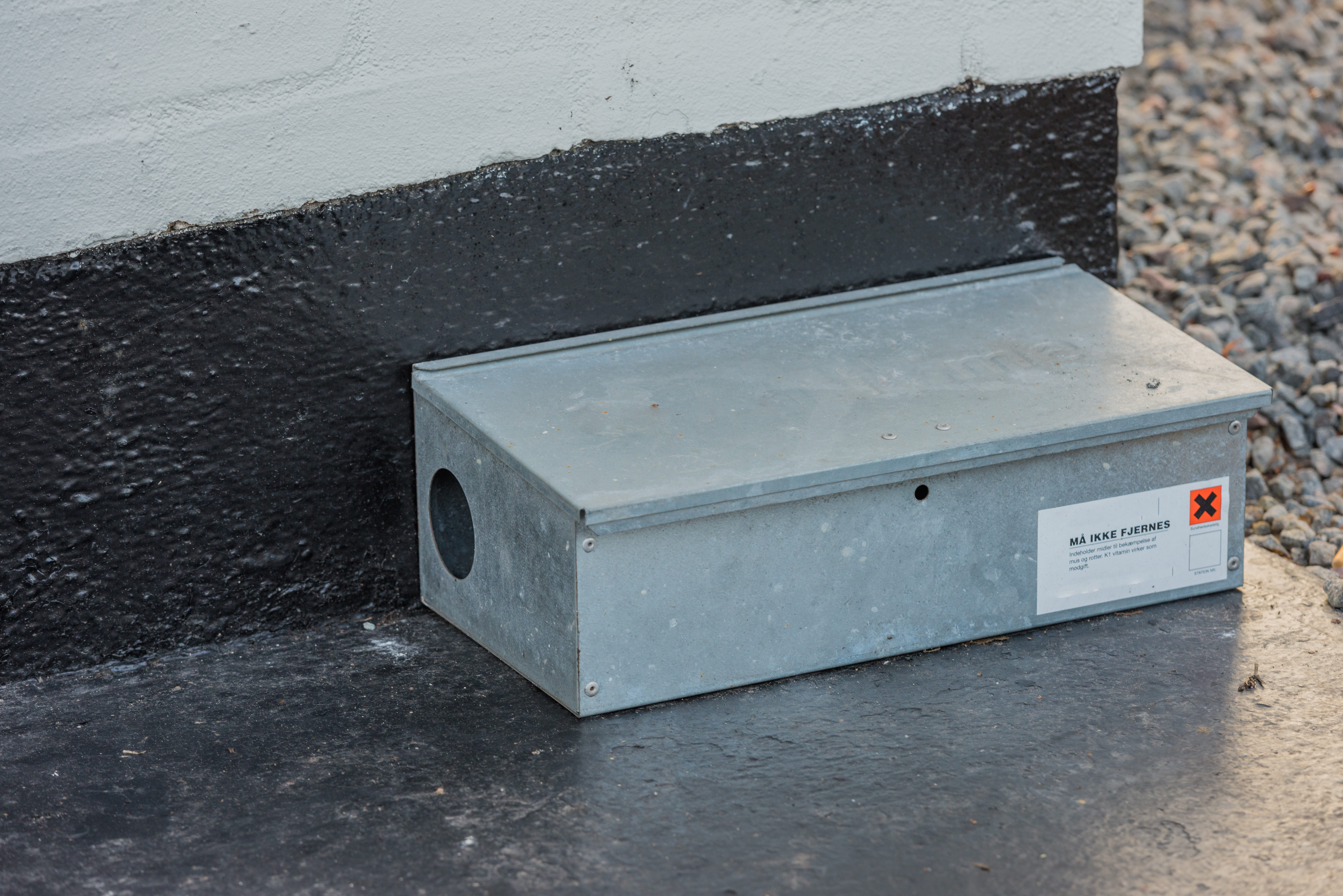 Billede af en rottefælde