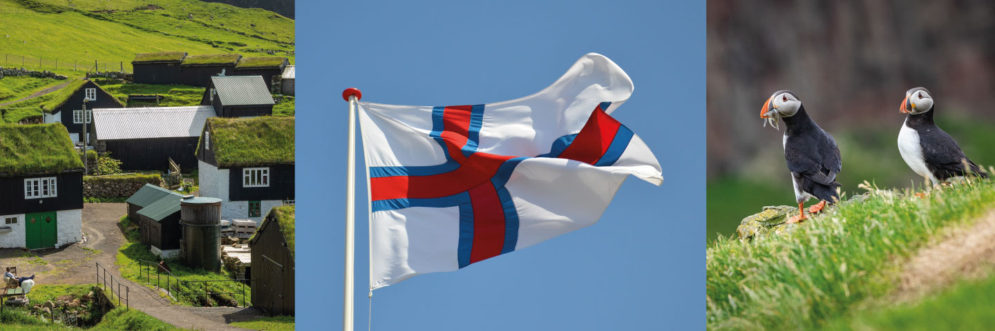 Foto af færøsk landsby, det færøske flag og søpapegøjer i naturen