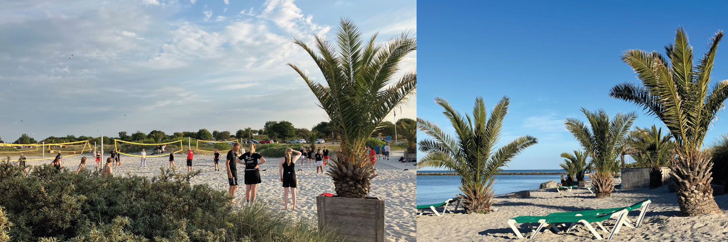Beachvolley på Palmestranden og aftenstemning på havnen